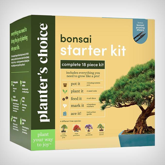 Bonsai Starter Kit